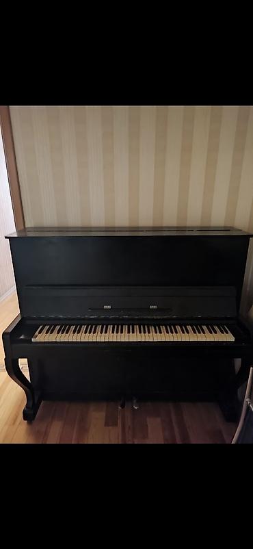 Musiqi alətləri: - Korpus: klassik düz (upright) model, qara rəngli ağac örtük - — 3