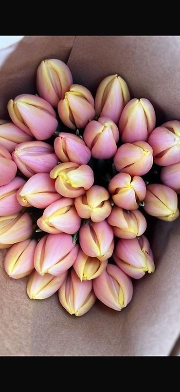 Букеты из живых цветов: ‼️‼️‼️‼️ успейте заказывать тюльпаны по оптовой цене Ассортимент: - — 5