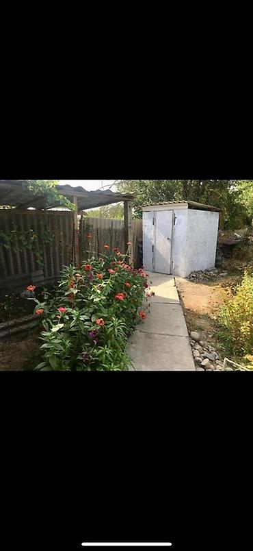 Продажа коттеджей и домов: 🏡 ПРОДАЕТСЯ УЮТНЫЙ ЧАСТНЫЙ ДОМ В СЕЛЕ КУНТУУ 🏡 17 соток 📍 Адрес: с — 11