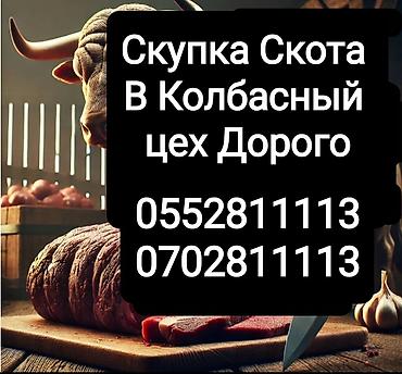 бойня скота: Колбасный цех | На забой, на мясо — 2
