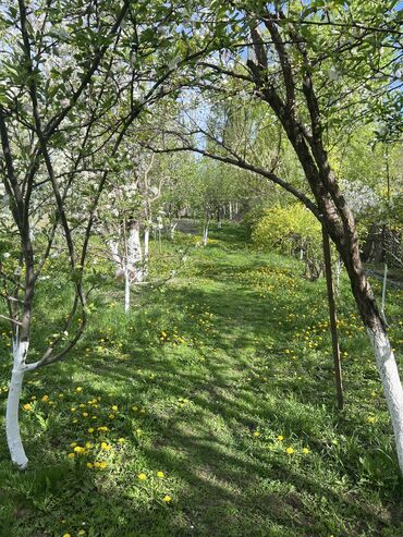 Продажа домов: Дом, 142 м², 5 комнат, Собственник, Косметический ремонт — 20