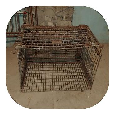 qəfəs böyük: Metal tel torlu tələ qəfəs - Material: qalın metal məftildən — 1