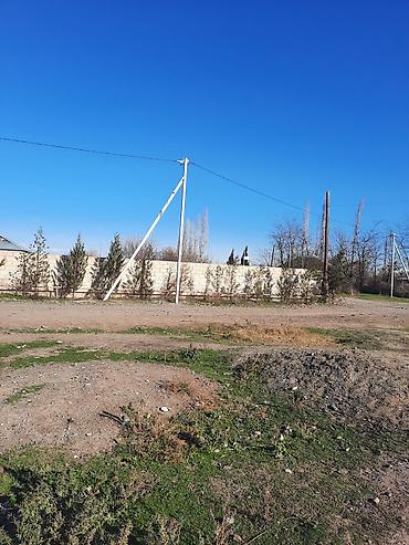 gen: 10 sot, Tikinti, Mülkiyyətçi, Kupça (Çıxarış) — 2