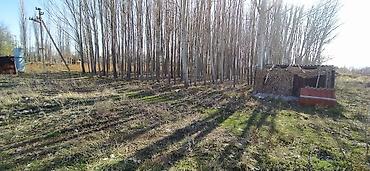 Продажа участков: 65 соток, Для бизнеса, Красная книга — 3