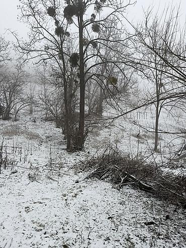 Torpaq sahələrinin satışı: 20 sot, Tikinti, Barter mümkündür, Kupça (Çıxarış) — 1
