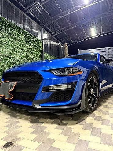 Ford: Ford Mustang: 2020 г., 2.3 л, Автомат, Бензин, Кабриолет — 4