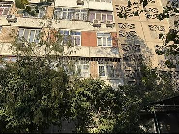 Продажа квартир: 3 комнаты, 65 м², 106 серия, 2 этаж, Свежий ремонт — 11