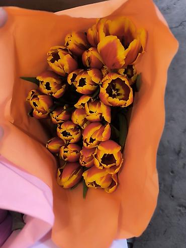 Букеты из живых цветов: Розы и тюльпаны к 8 Марта - Срезанные свежие розы в ассортименте — 10