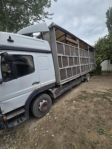 мтз ош: Жүк ташуучу унаа, Mercedes-Benz, Стандарт, 7 т, Колдонулган — 3