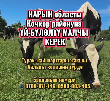 полированный машинка: Требуется Скотник, Оплата Сдельная, Питание
