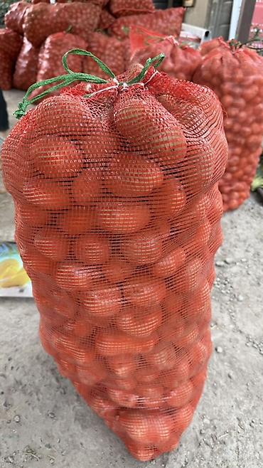 оптом овощи и фрукты: Картошка Джелли, Оптом — 2