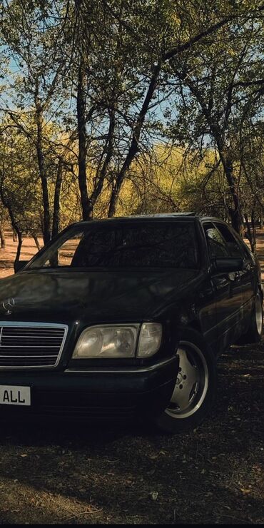 боковое зеркало на мерс 124: Mercedes-Benz S-Class: 1996 г., 3.2 л, Автомат, Бензин, Седан