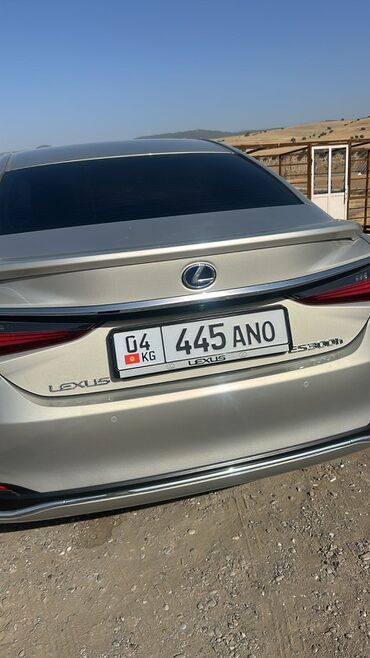 поворотник тойота виндом: Lexus ES: 2019 г., 2.5 л, Гибрид, Седан