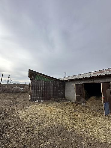 Продажа сельхоз предприятий: Продается Кошар на земельном участке площадью 1000,0 кв.м. Имеется at lalafo.kg — 11 Продажа сельхоз предприятий: Продается Кошар на земельном участке площадью 1000,0 кв.м. Имеется — 11