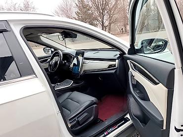 Weltmeister: Weltmeister EX5, 2021 г., Передний — 8