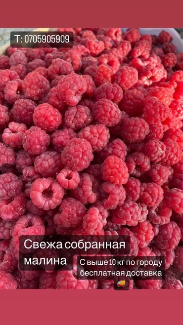 островок в торговом центре: Свежа собранная малина вкусная на варенье и просто покушать самое то