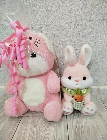 Другая женская одежда: Отдаю все за символическую плату - 199с. - Прозрачный пластиковый — 4