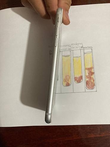 aйфон 8: IPhone 8, Б/у, 256 ГБ, Серебристый, Наушники, Зарядное устройство, Защитное стекло, 100 % — 4