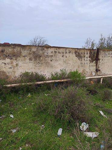 Beton plitələr: Beton panel. Beton plitələr. Daş panel. Nastil. İşlənmişdir. 10 — 4