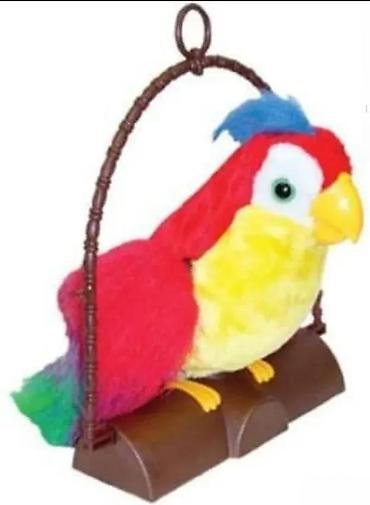 mango torbe srbija: PAPAGAJ KOJI PONAVLJA RECI NOV BRBLJIVI PAMETNI PAPAGAJ TOP | Cene — 4