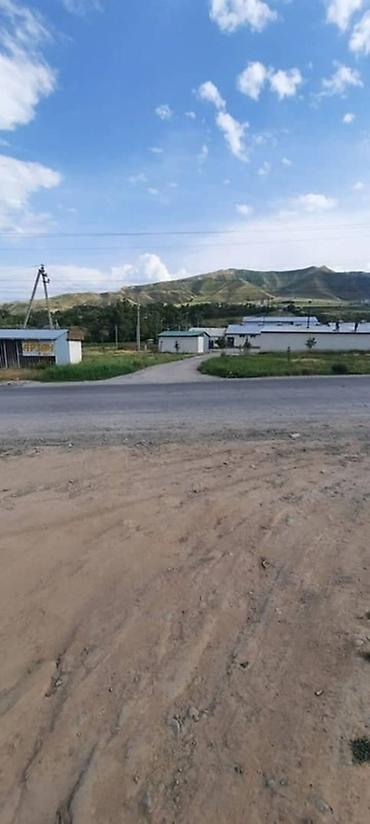 Лошади, кони: Продаю | Кобыла (самка), Конь (самец), Жеребец | На забой | Мерин — 11