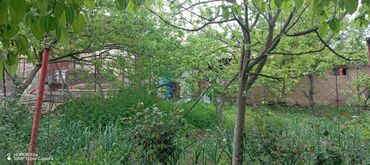 Həyət evləri və villaların satışı: 15 otaq, 300 kv. m, Kredit yoxdur, Orta təmir -da lalafo.az — 10 Həyət evləri və villaların satışı: 15 otaq, 300 kv. m, Kredit yoxdur, Orta təmir — 10