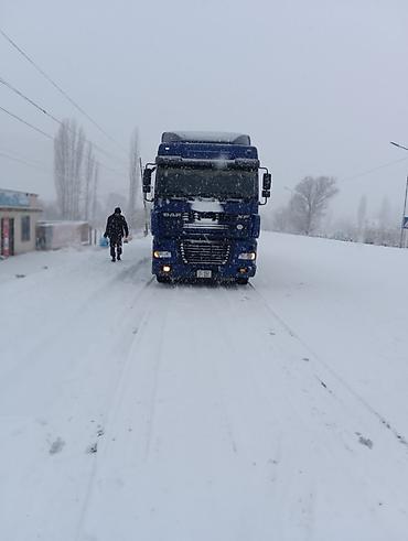 w210 210: Тягач, DAF, Самосвал — 3
