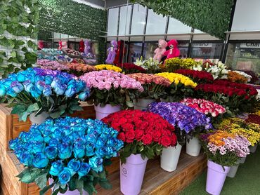 mingecevir is elanlari 2023: Florist (gul buket baqlayan)isci teleb olunur.emek haqqi 30-50