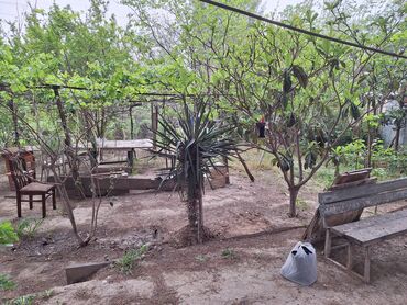 Torpaq sahələrinin satışı: 20 sot, Tikinti, Barter mümkündür, Bələdiyyə
