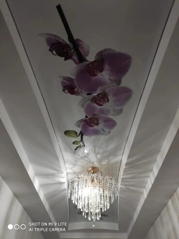 Натяжной потолок: Натяжные потолки натяжной потолок натяжные потолки всех видов парящие — 2