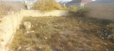 Torpaq sahələrinin satışı: 5 sot, Kupça (Çıxarış) — 12