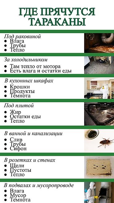 Дезинфекция, дезинсекция: Дезинфекция, дезинсекция, | Клопы, Блохи, Тараканы, | Транспорт, Офисы, Квартиры — 3