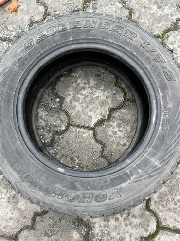 шины на форанер: Шины 215 / 65 / R 16, Зима, Внедорожные (АТ/МТ), Yokohama