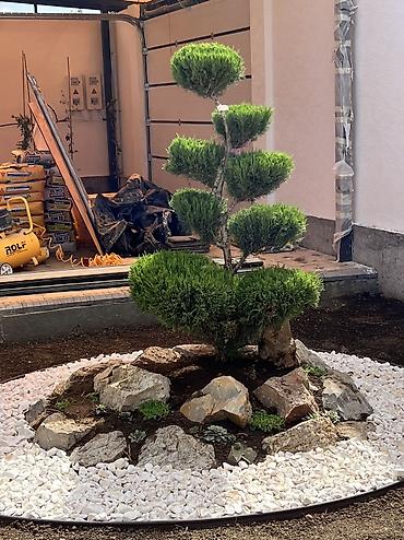 Дизайн, проектирование: Ландшафтный дизайн авто полив водопады пруды водоемы ручьи посев — 23