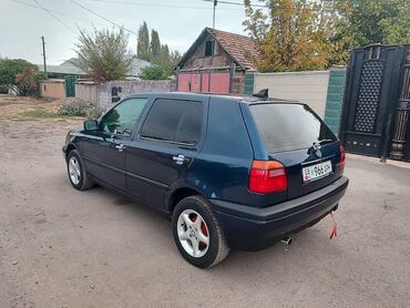 Volkswagen: Volkswagen Golf: 1993 г., 1.8 л, Механика, Бензин, Хэтчбэк