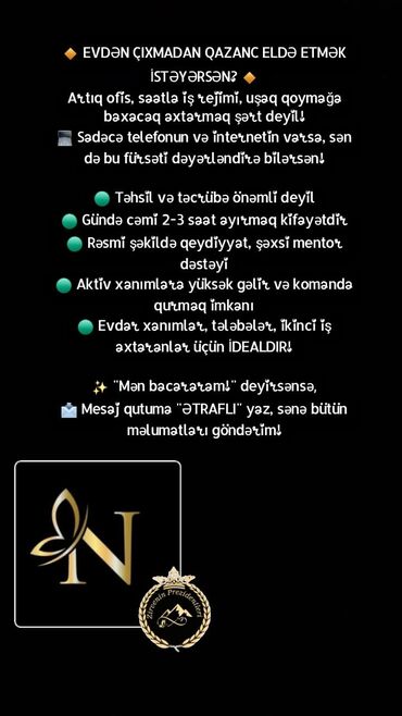 Marketinq, Reklam və PR: Xanımlar üçün onlayn gəlir imkanı – evdən işləmə fürsəti Təsvir: -