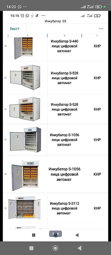 Товары и оборудование для с/х животных: Продается инкубаторы оптом ив розницу Россия Китай полный автомат — 9