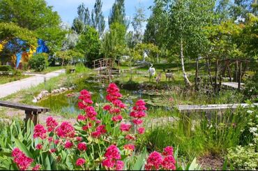 аренда дома под офис: 300 кв. м, 12 бөлмө, Унаа токтотуучу жай