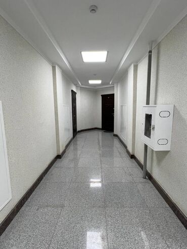 тц бишкек парк: 1 бөлмө, 45 кв. м, Элитка, 8 кабат, Евроремонт