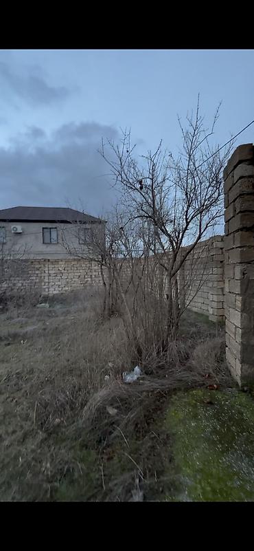 Torpaq sahələrinin satışı: 6 sot, Tikinti, Mülkiyyətçi, Bələdiyyə — 3