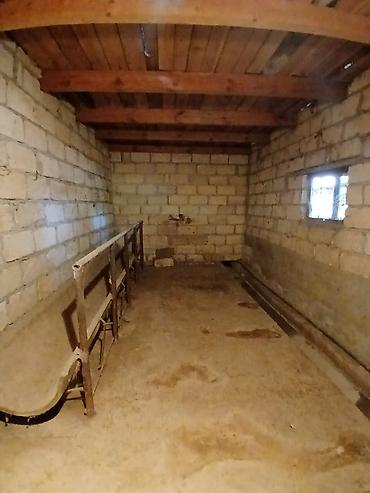 Torpaq sahələrinin satışı: Kənd təsərrüfatı — 12