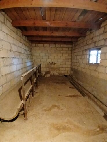 Kənd təsərüfatı heyvanları üçün digər mallar: Salam Arenda veya satmaq Heyvan saxlanılan təsərrüfat/qoyun‑malqar — 4