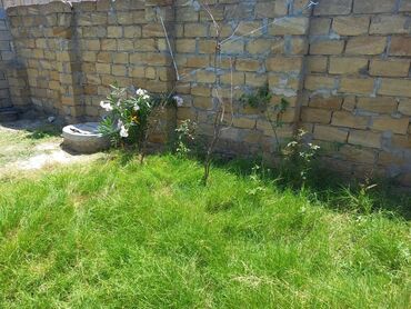 Torpaq sahələrinin satışı: Tikinti — 5