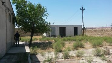 Torpaq sahələrinin satışı: 200 sot, Tikinti, Makler, Kupça (Çıxarış) — 17