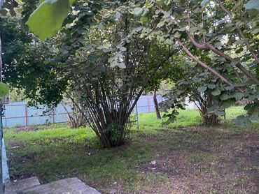 Bağ evlərinin satışı: Bakı, 1200 kv. m, 5 otaqlı, Hovuzsuz, İnternet, Artezian quyusu, Su -da lalafo.az — 2 Bağ evlərinin satışı: Bakı, 1200 kv. m, 5 otaqlı, Hovuzsuz, İnternet, Artezian quyusu, Su — 2