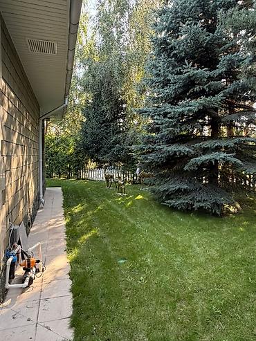 Продажа коттеджей и домов: 5 комнат, 203 м², Сары-Ой, Собственник at lalafo.kg — 18 Продажа коттеджей и домов: 5 комнат, 203 м², Сары-Ой, Собственник — 18
