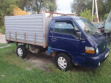 porter 3: Hyundai Porter (кабина над двигателем), компактный бортовой — 3