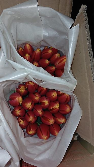 Букеты из живых цветов: Букеты из тюльпанов - Классические моно‑букеты и мини‑букеты в — 5