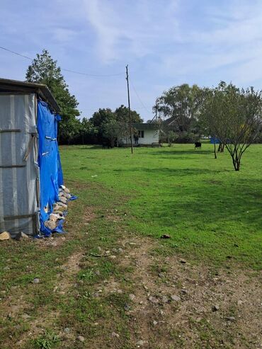 Torpaq sahələrinin satışı: Kənd təsərrüfatı -da lalafo.az — 10 Torpaq sahələrinin satışı: Kənd təsərrüfatı — 10