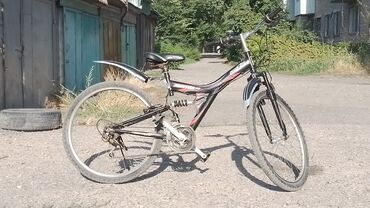 отдам даром попугая бишкек: ❗️ПРОДАМ ВАМ ЭТОГО КРАСАВЦА ОТ COREX ЗА 7000 СОМ❗️ - На уверенном и